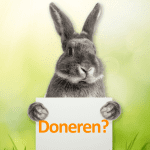 Wil jij doneren aan een goed doel? Geef voor een tweede kans voor konijnen.