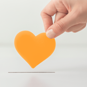 In de webshop kan je een donatie doen aan konijnenopvang Hazel.