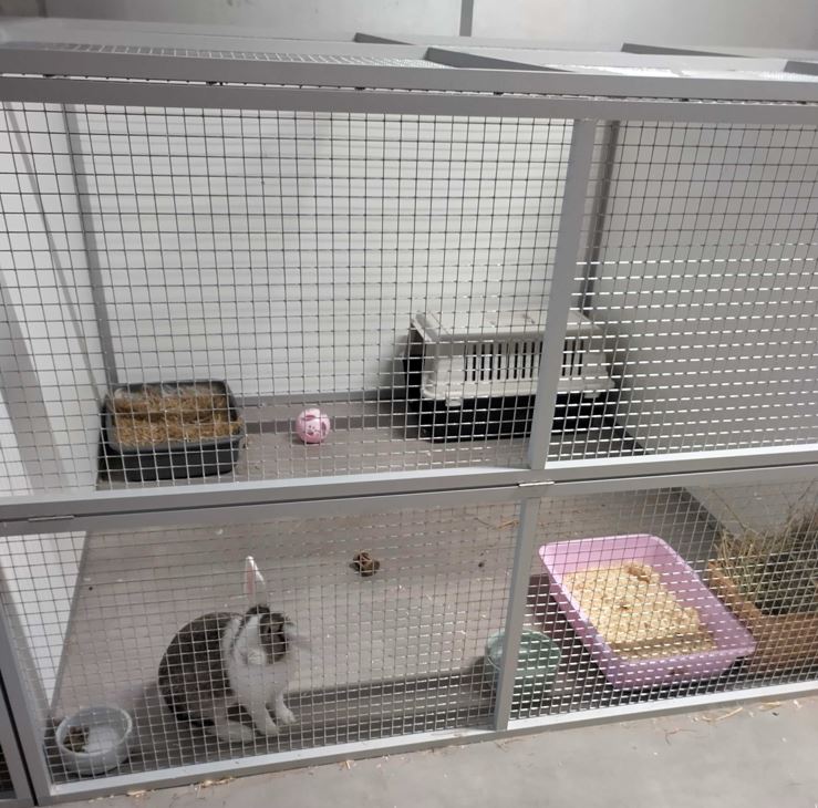 een ruime ren voor vakantieopvang van je konijnen.