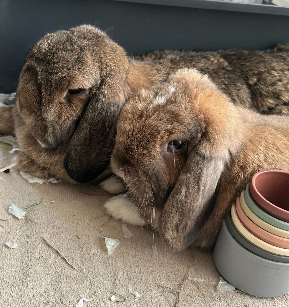 Tiksi & Lulu