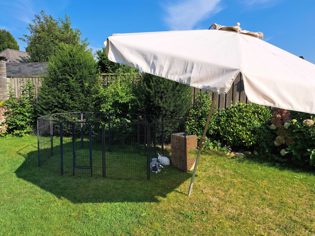 Vakantieopvang
