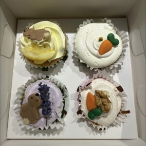 Vegan cupcakes – Pre-order voor de open dag